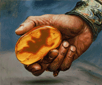 Amber_Prison