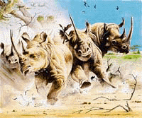 Crash_of_Rhinos