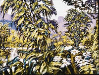 Forest3
