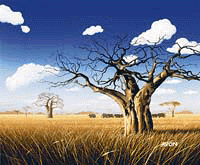 Grasslands 