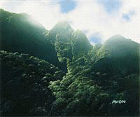 Mountain1