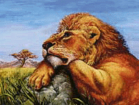 Mtenda_Lion