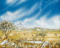 Plains1