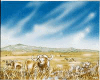Plains4