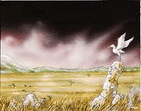 Plains4