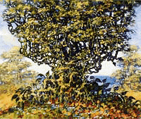 Roots_of_Life