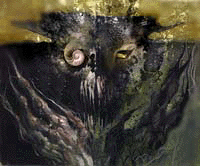 Spirit_of_the_Night
