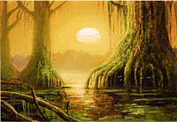 Swamp1