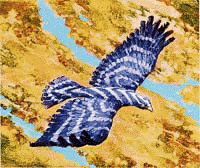Windreaper_Falcon