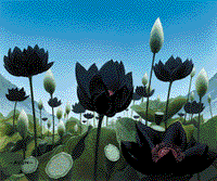 Black Lotus Vale